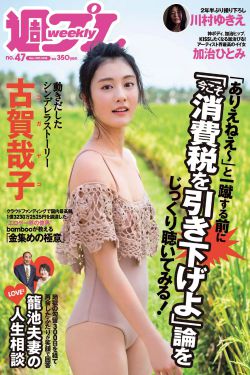 农门女婿不好当全文